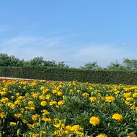《旅行》プロと旅行計画しよう！
