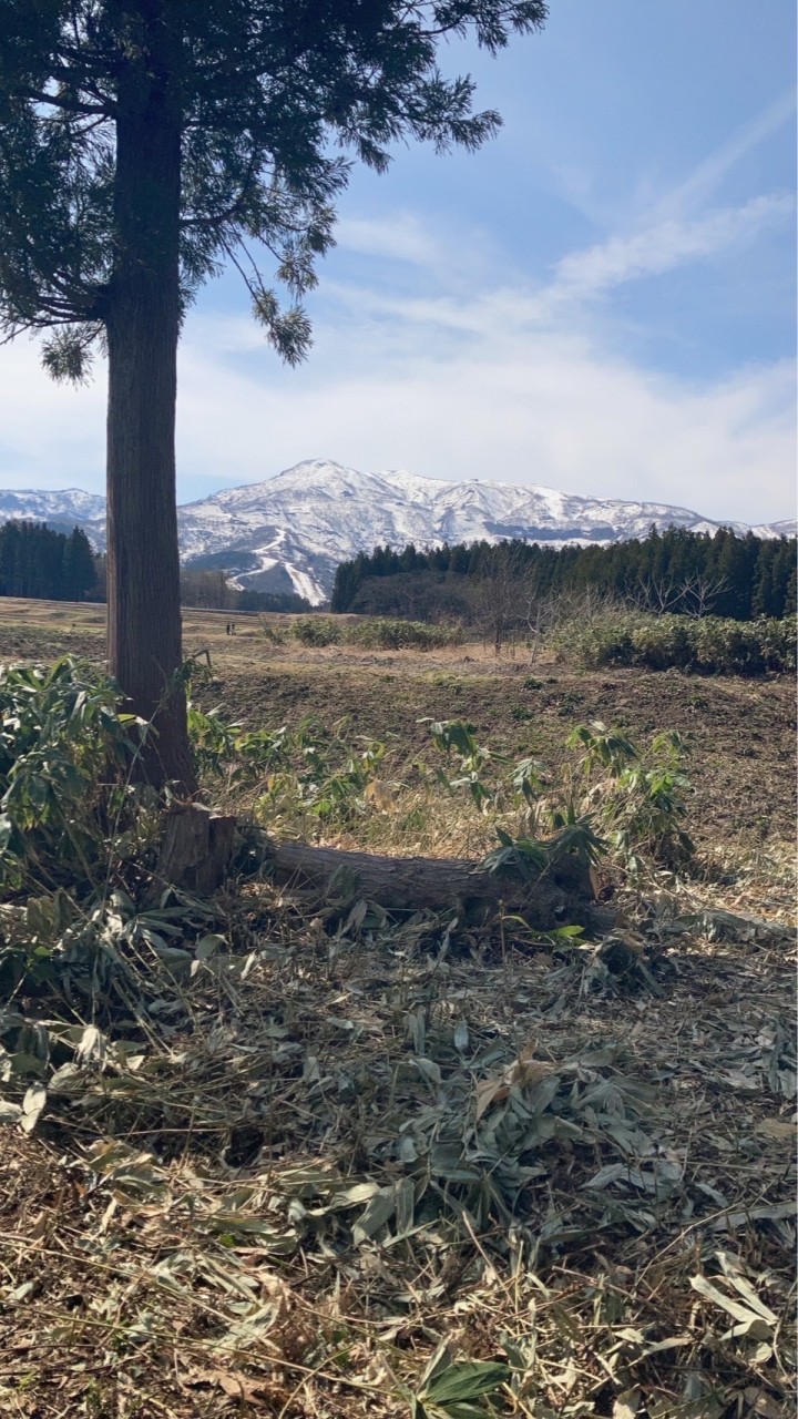 オーガニック生活in新潟🌎芋作菜園【節約、無農薬野菜、自然農etc…】のオープンチャット