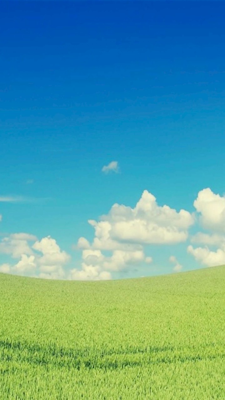 🌿60歳 還暦以上のシングルライフ🌼