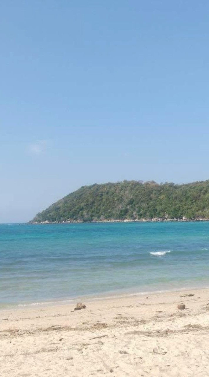 กลุ่มหาแฟน/หาเพื่อน/หาคนคุย🫂✨