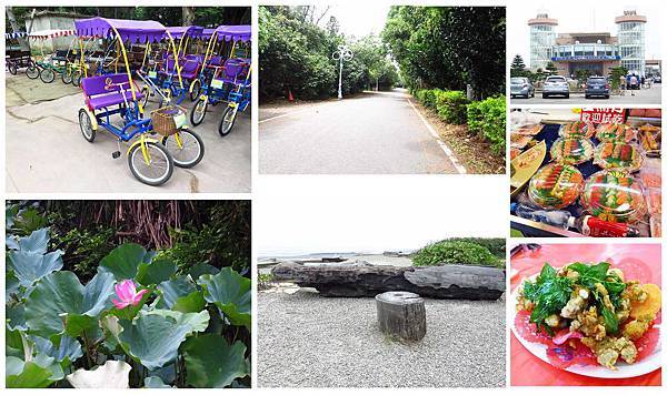 【桃園旅遊景點】桃園新屋綠色走廊&&永安漁港半日遊 【桃園旅遊景點】桃園新屋綠色走廊&&永安漁港半日遊