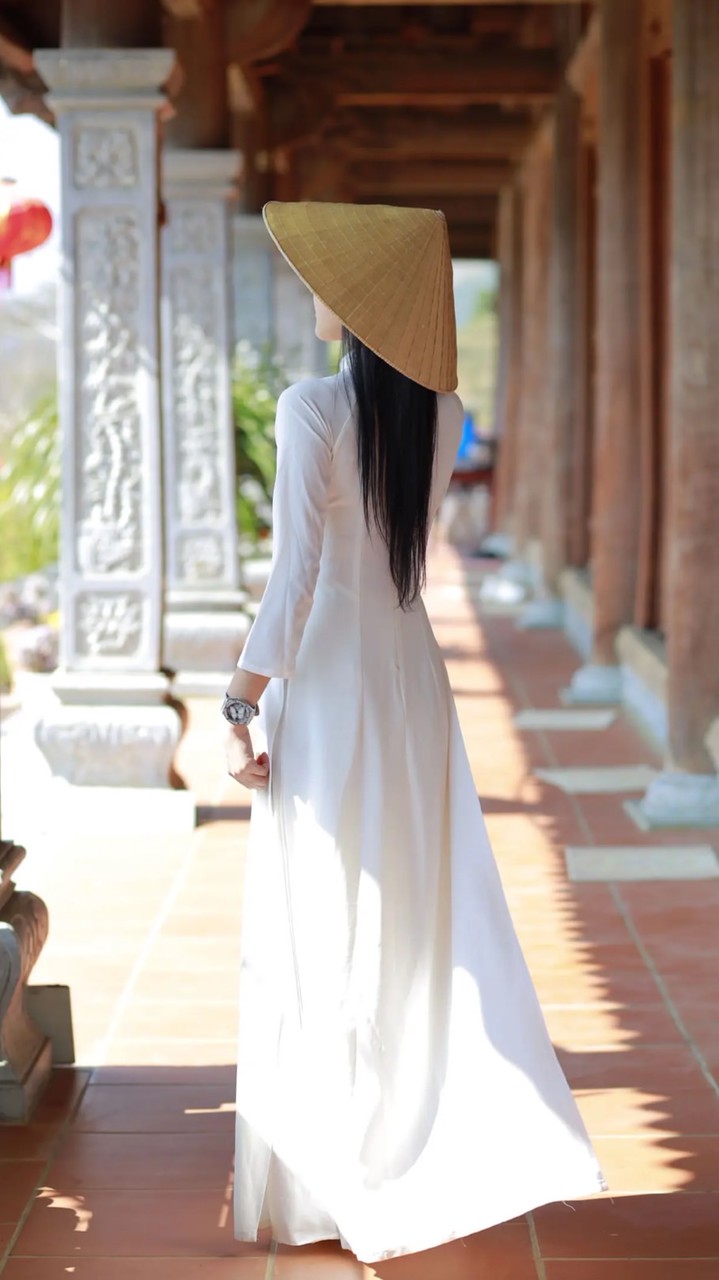 🇻🇳 VNの人間四月天