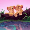 ディズニー情報発信