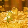 ディズニー情報発信