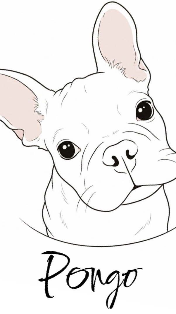 Pongo手作寵物烘焙