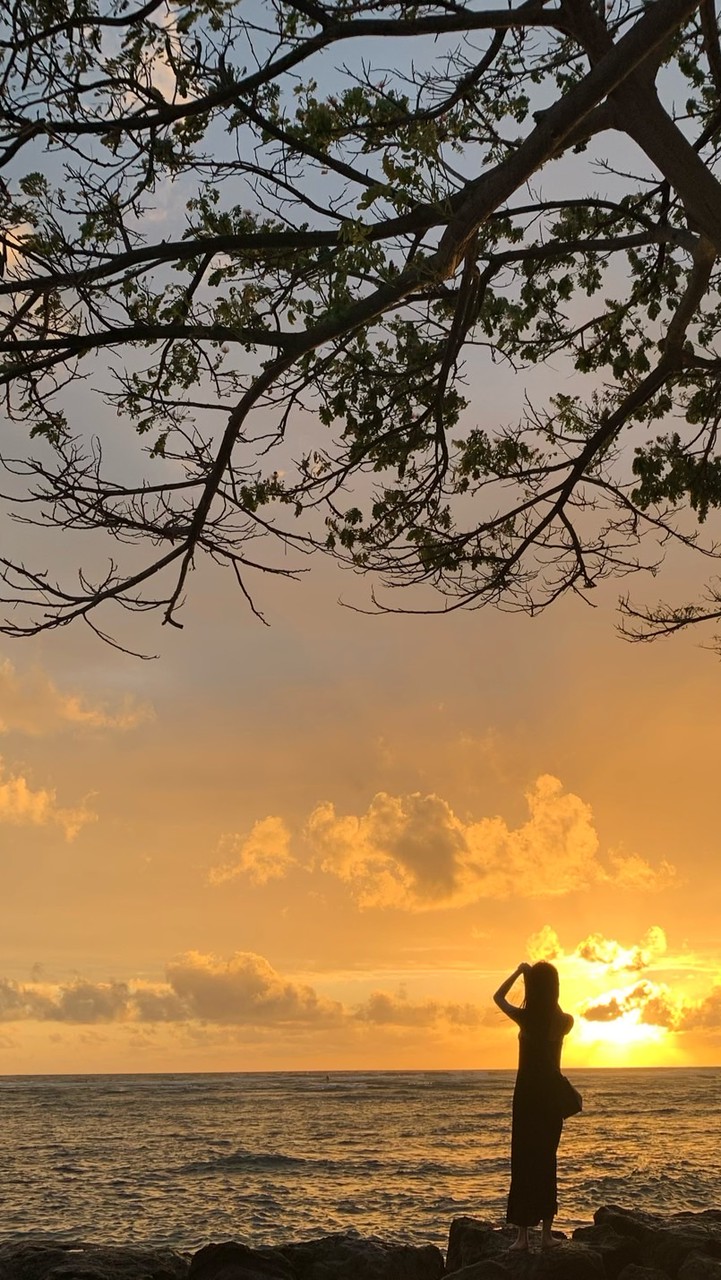 kotomi🐈❄️TikTok