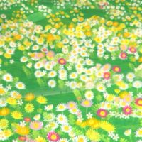 ピクミンブルーム（関西）