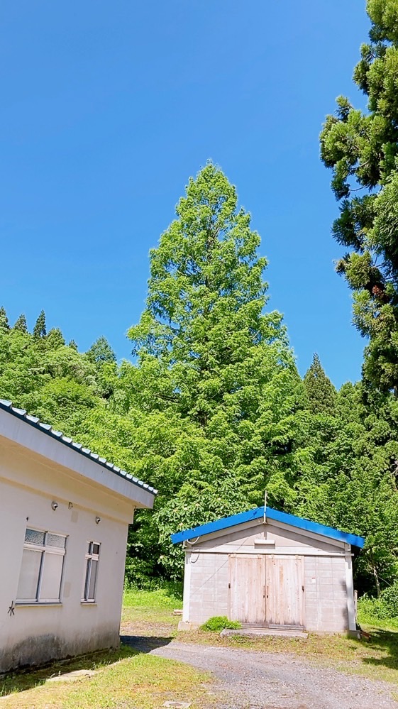 こちら蒜山の森