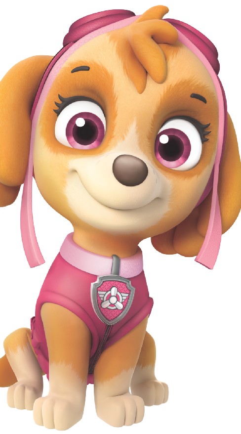 paw patrol