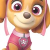 paw patrol