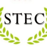 STEC 2025