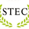 STEC 2025