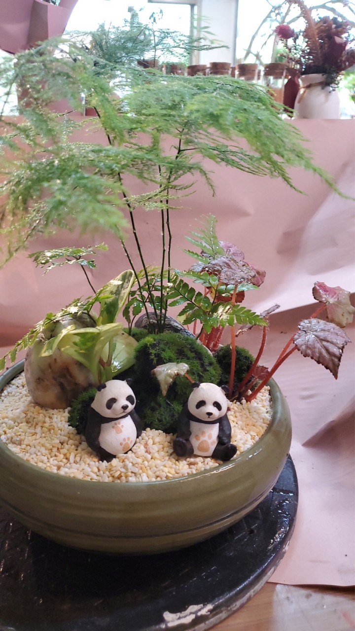 園藝與生活