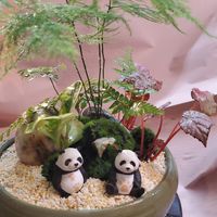 園藝與生活
