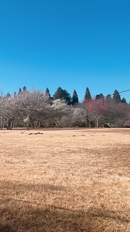 あすみが丘東ペットコミュニティ