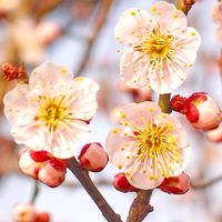 【2月 無理せず継続する会】