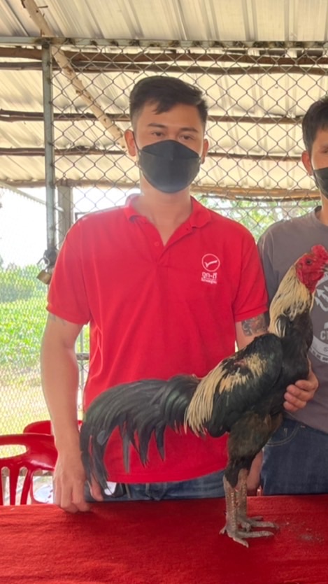 สนั่น ฟาร์ม-Sanan Farm