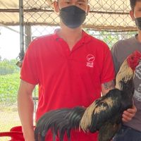 สนั่น ฟาร์ม-Sanan Farm
