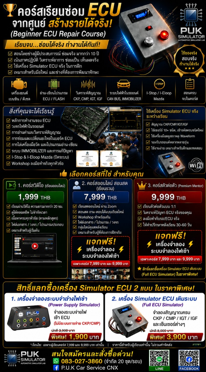 PUK ECU Academy | Workshop Support (7,999)
