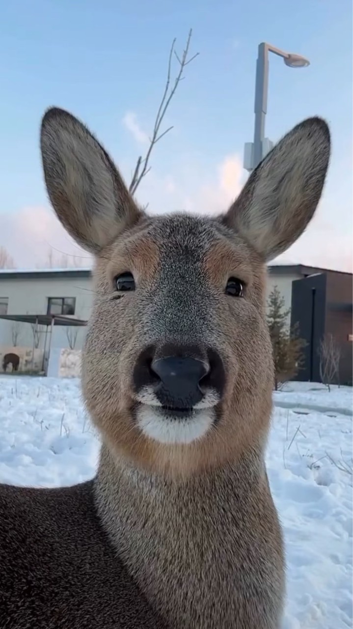 （学生限定）暇な人達の雑談場所！下系⭕️論争⭕️
