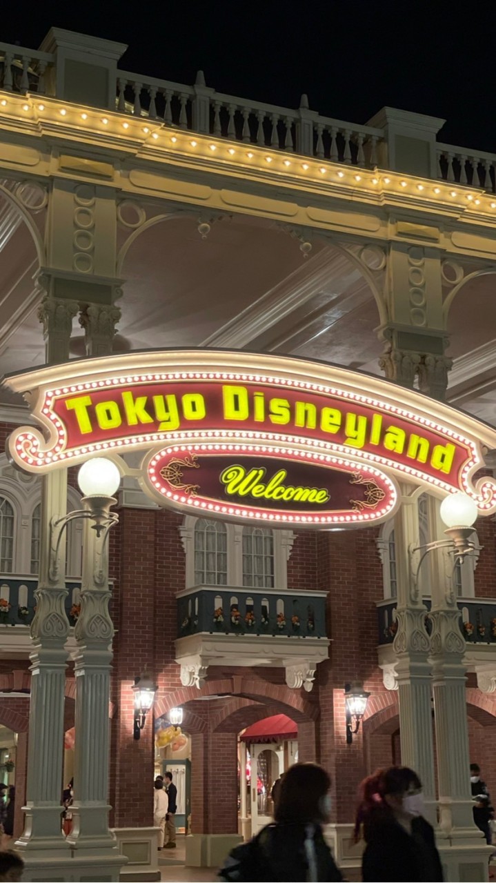 🎡🌊🐭ディズニーオフ会🏰🌋🌍
