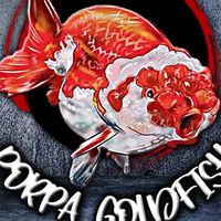 Porpa Goldfish