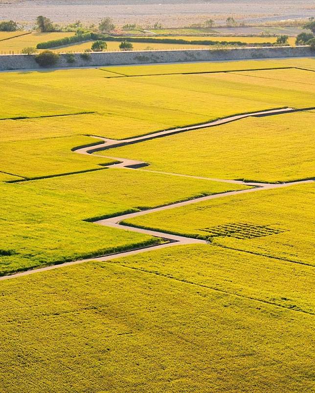 ▲圖片來源：IG@chris060810