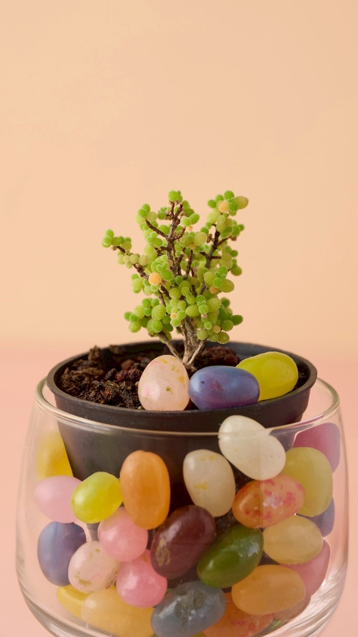 商品攝影圖書館