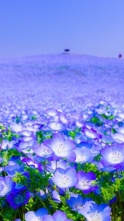 ★26新春1月コミュ