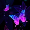 flyff universe 獨眼蝙蝠熟人聚會