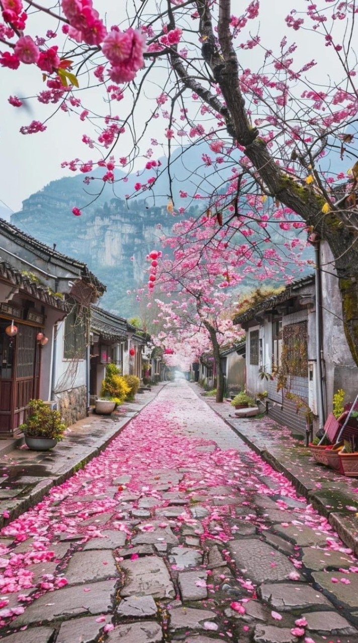 40+🌹任時光匆匆流去🌹我只在唬你🌹