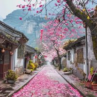 40+🌹任時光匆匆流去🌹我只在唬你🌹