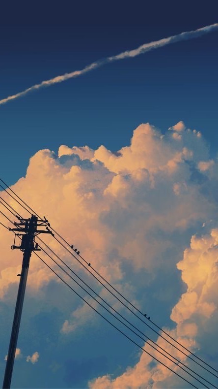 夏、雨、ストレイシープ。［ 全也：炉留必須 ］