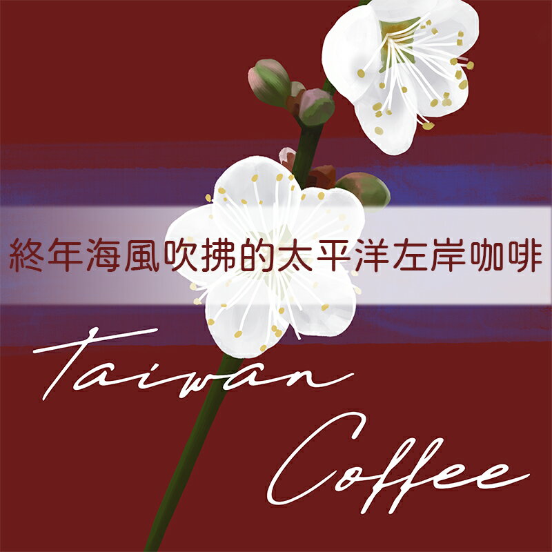 台灣台東 逕雲峽谷咖啡莊園【Nikkoffee日光咖啡】