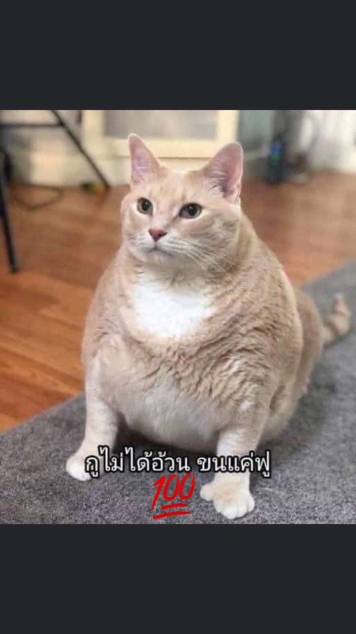 @AugustPing.