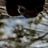 辛い、疲れた、逃げたい人の憩いの場 🍀 ̖́-   “ ゆるほ ”