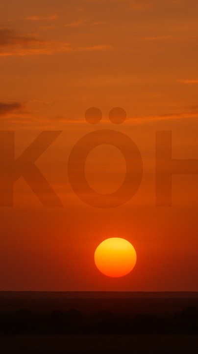 KÖH戰隊（蛋仔派對）