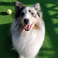 動物好き〜(≧∇≦)