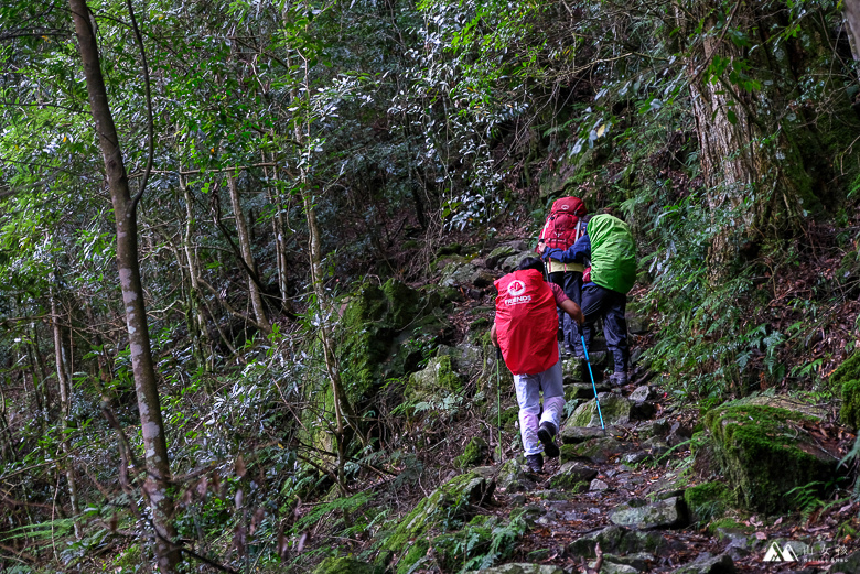 山女孩Melissa_大霸群峰三天兩夜_大霸尖山小霸尖山_登山心得-0349.jpg