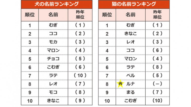 ペットの名前ランキング22 で犬と猫の1位に選ばれたのは Dime