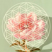 心生活 香格里拉
