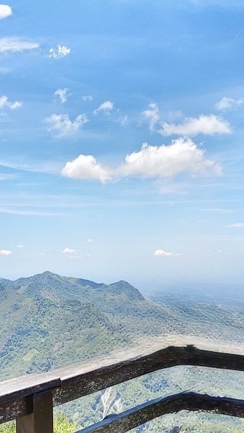 豐榮旅行社