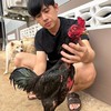 จูลีฟาร์ม ไก่ชนพม่า