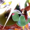 ポケモン保護団体(スマブラSP)