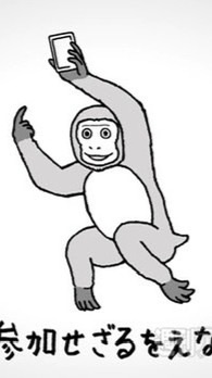 シグナルオプチャ　年内無料