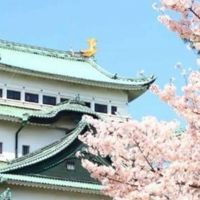 東海　鰻遊会　うなぎ釣り・穴釣り・筒・トラップ・尽き・挟み・置きバリ・養殖・飼育・ドバミ