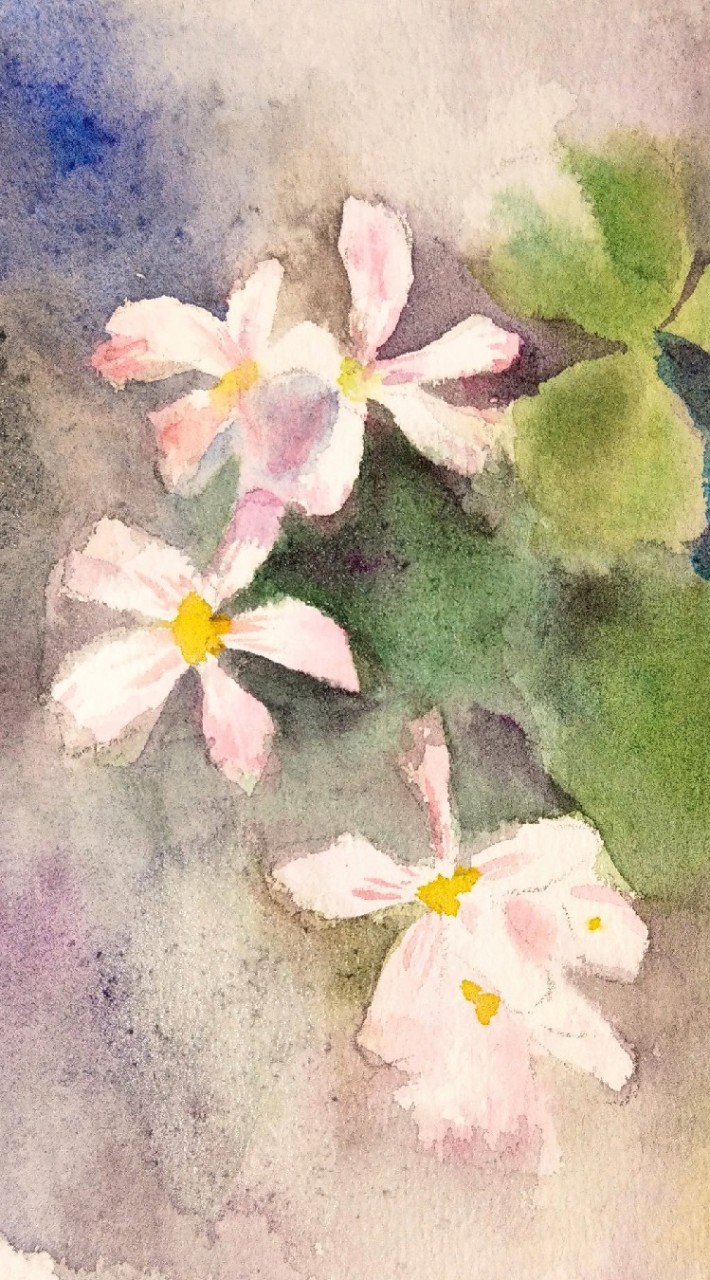 三葉草身心症關懷園地