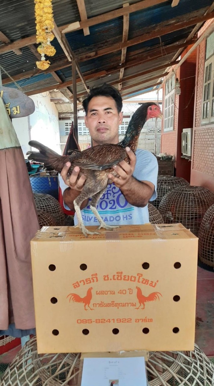 ซุ้มเพชรนาคราชไก่ชนเพชรบุรี ช่องสอง