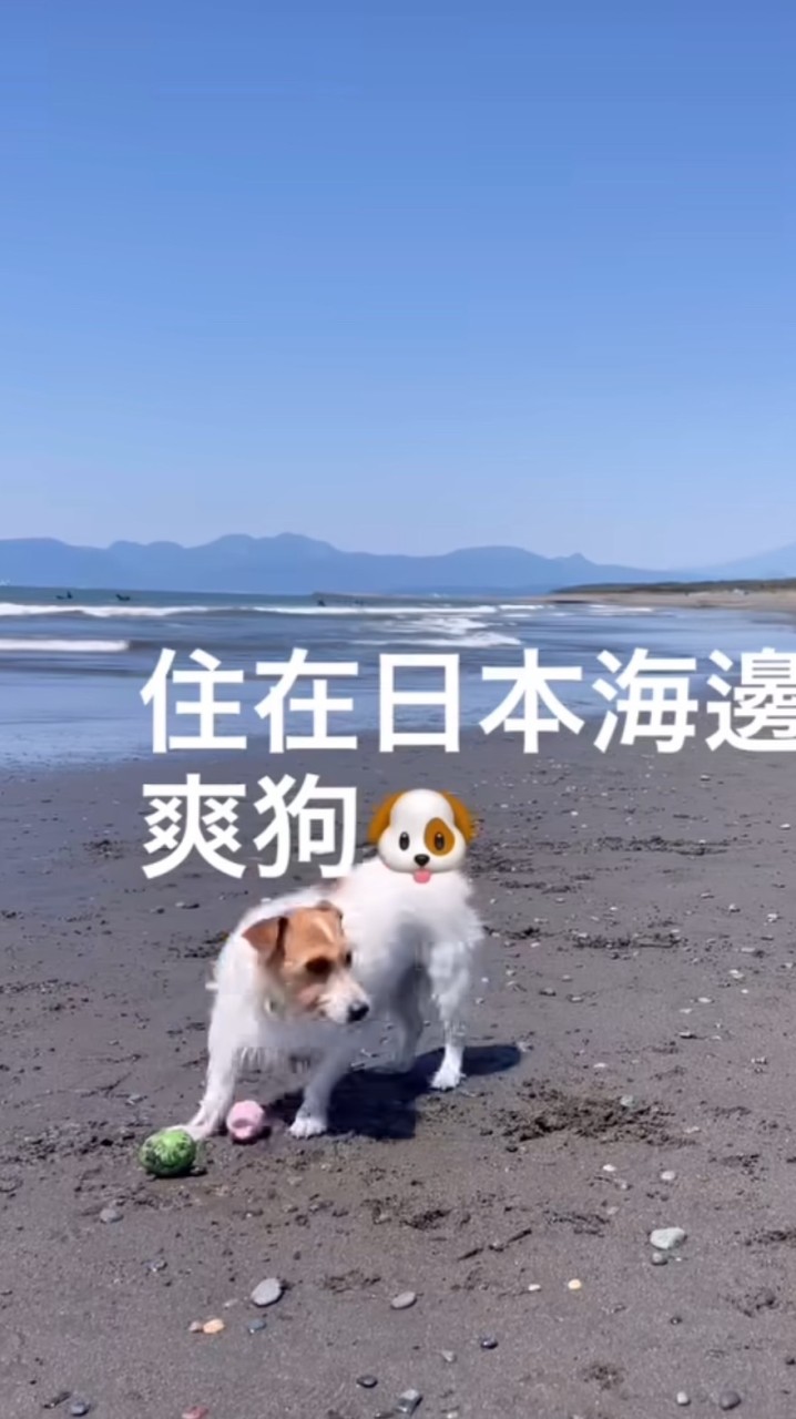 Mei 最愛亂買下單群