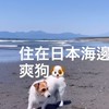 Mei 最愛亂買下單群